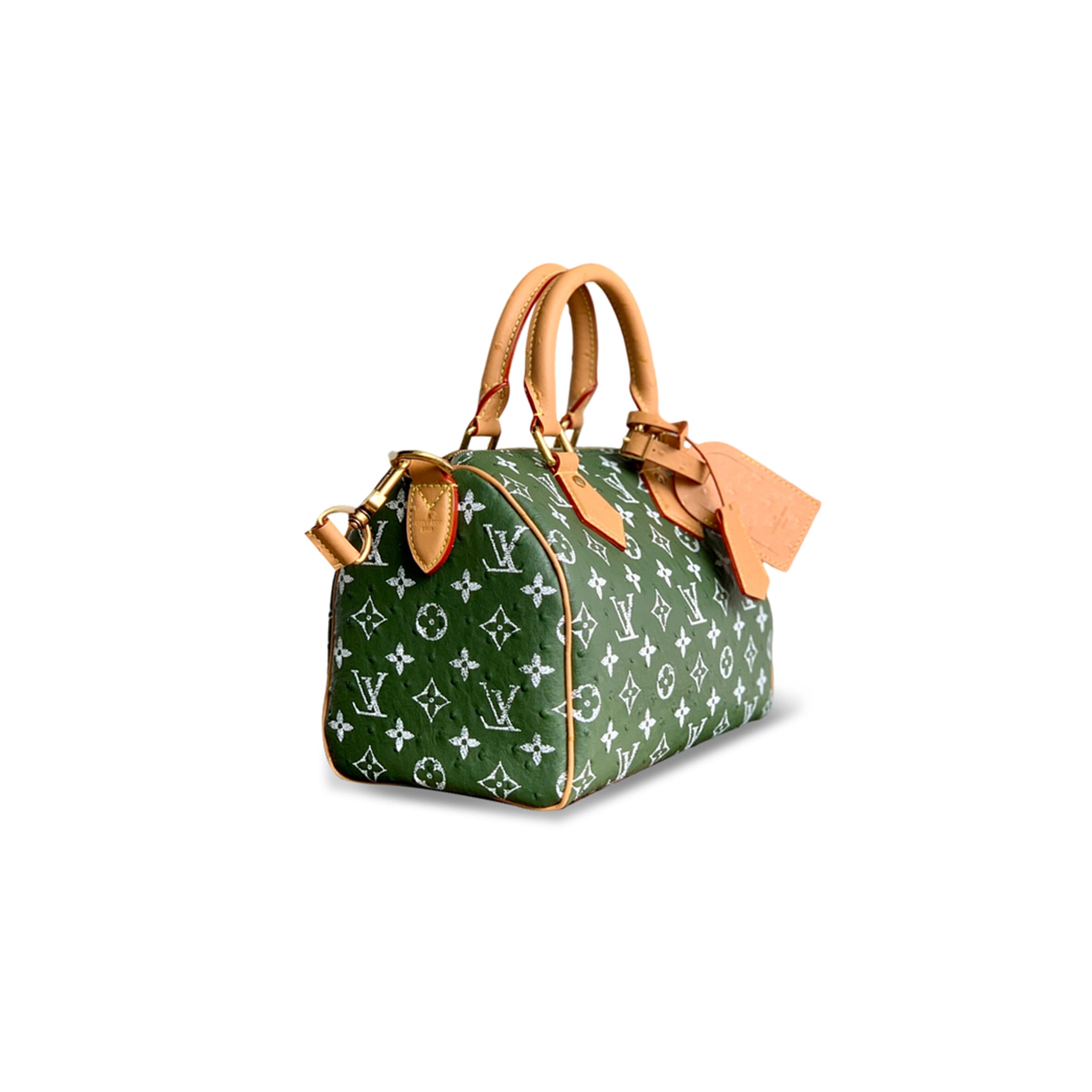 l0vis Vvtt0n master speedy p9 bandouliÈre 25 m24437 (25*15*15cm)